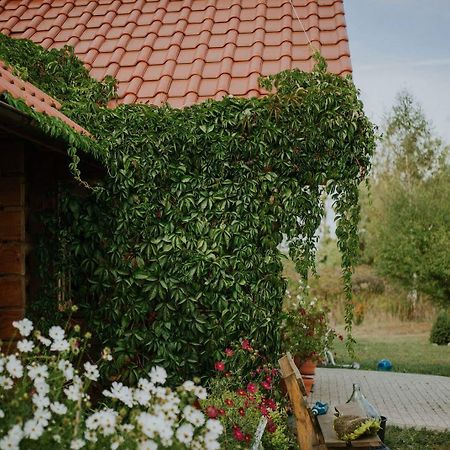 Dom Goscinny Sowia Stopka Miłomłyn Eksteriør bilde