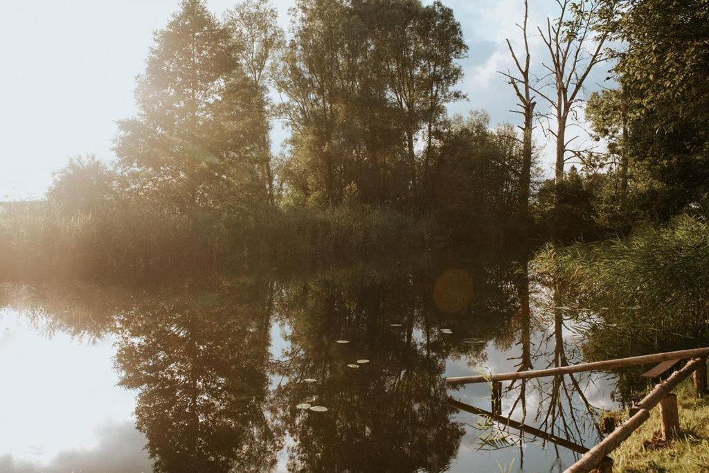 Dom Goscinny Sowia Stopka Miłomłyn Eksteriør bilde